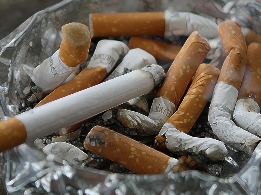 cigar